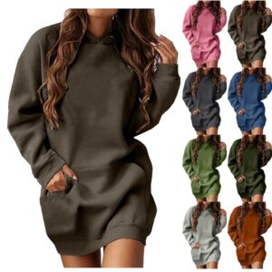 Women Hoodies Dress Hooded Sweatshirts Dress Casual Drawstring Long Sweatshirt Pullover Fall Cute Clothes Tops