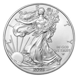 2025 1oz Silver American Eagle Coin - amazonmegawarehouse.com